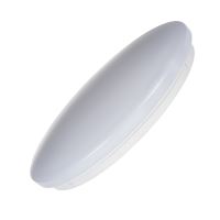 Lehké přisazené LED svítidlo ZONDO 24W/260V (1)