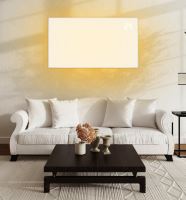 FENIX 5401174 Ecosun 850W U+ sálavý topný panel pro stropní í nástěnnou montáž s tepelnou pojistkou (2)