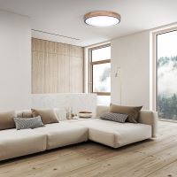 SOLIGHT WO8005 LED osvětlení s dálkový ovladačem 48W, 3360lm velikost 40cm s možností stmívání a změny barvy světla dřevěné (1)